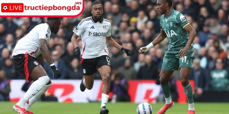 Thông tin lực lượng Tottenham vs Fulham, 03:00 30/11 (Premier League)