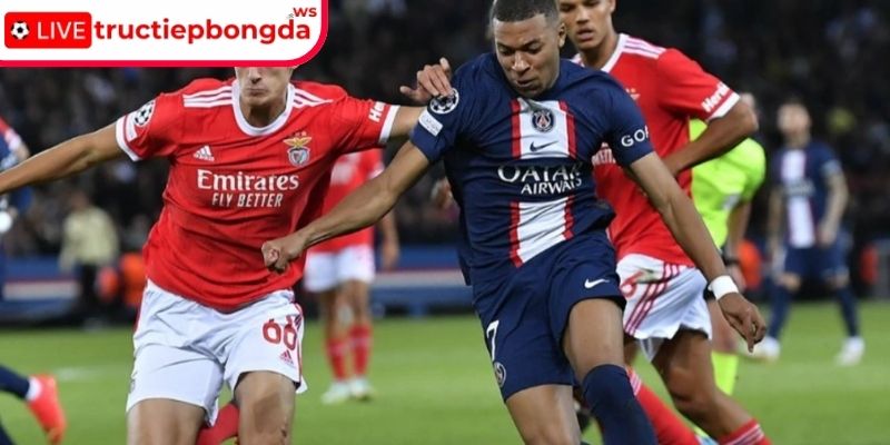 Phong độ hủy diệt và vị thế số một thế giới