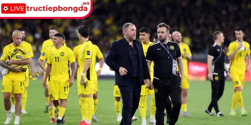 Bản chất bê bối nhập tịch chui: Lối tắt đầy rủi ro
