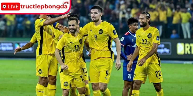 Thiệt hại 52 tỷ đồng gây cú sốc tài chính và uy tín