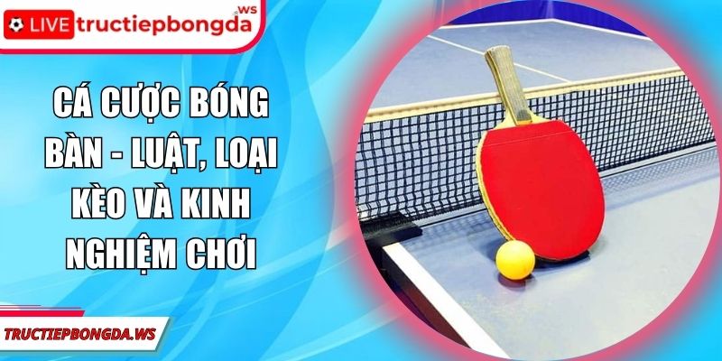 Cá cược bóng bàn