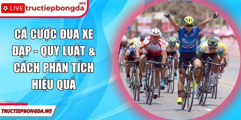 Cá cược đua xe đạp