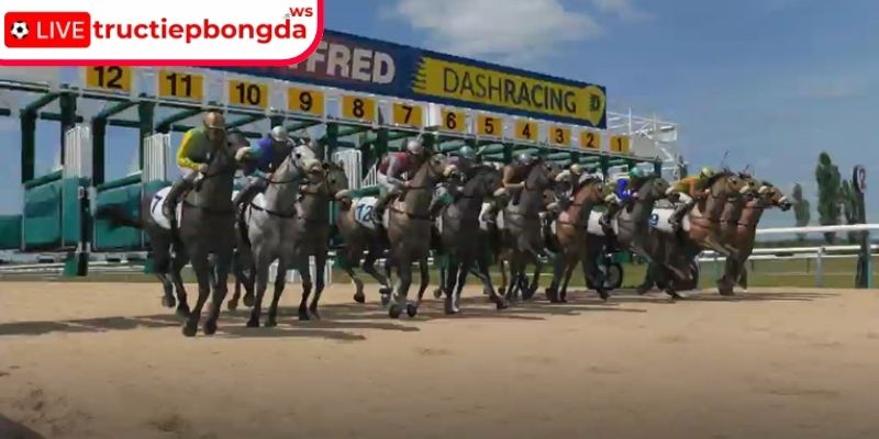 Đua ngựa ảo hấp dẫn