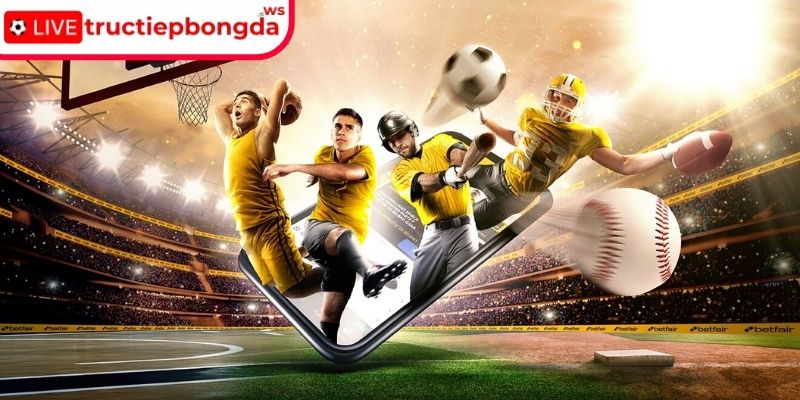 Quan sát sự ổn định của mô hình mô phỏng