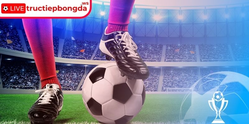 Cách đọc kèo chấp chính xác