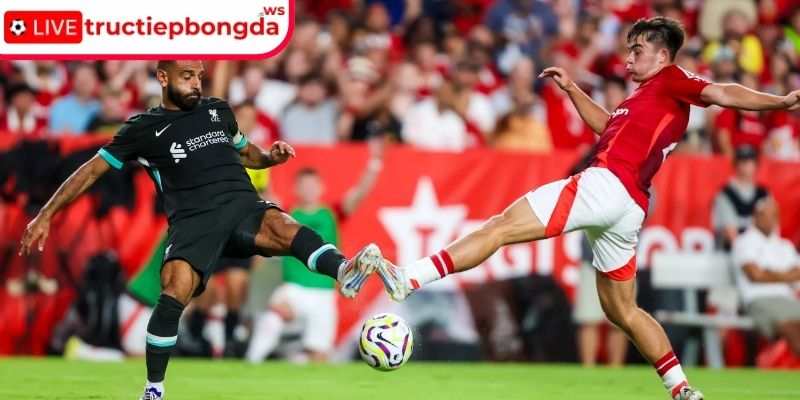 Thông tin lực lượng Arsenal vs Wolverhampton, 03:00 14/12 (Premier League)