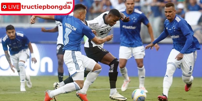 Thông tin lực lượng Cruzeiro MG vs Botafogo RJ, 05:30 05/12 (Serie A)
