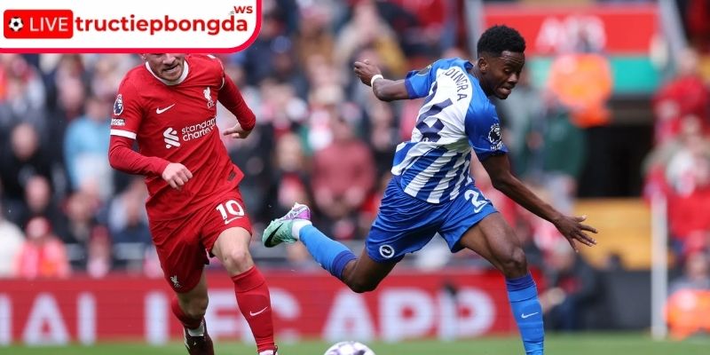 Thông tin lực lượng Liverpool vs Brighton, 22:00 13/12 (Premier League)