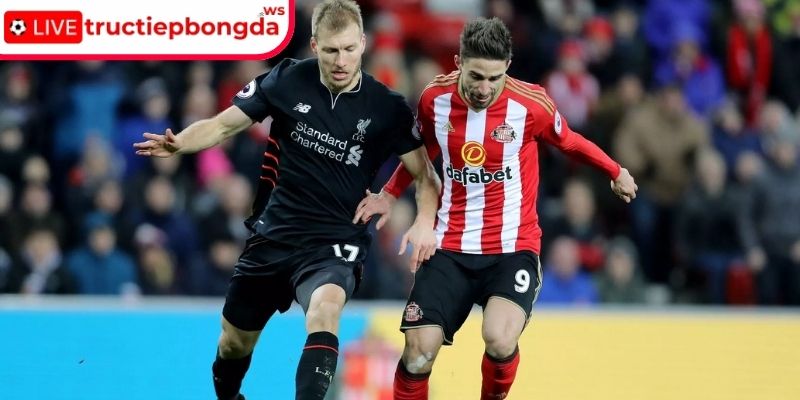 Thông tin lực lượng Liverpool vs Sunderland, 03:15 04/12 (Premier League)