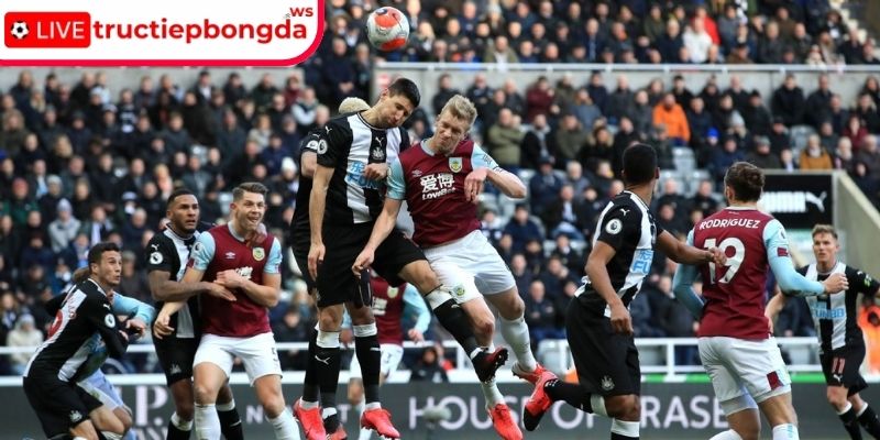 Thông tin lực lượng Newcastle vs Burnley, 22:00 06/12 (Premier League)