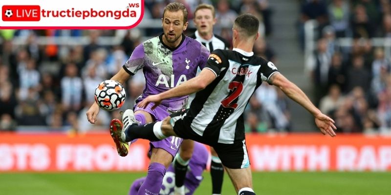 Thông tin lực lượng Newcastle vs Tottenham, 03:15 03/12 (Premier League)