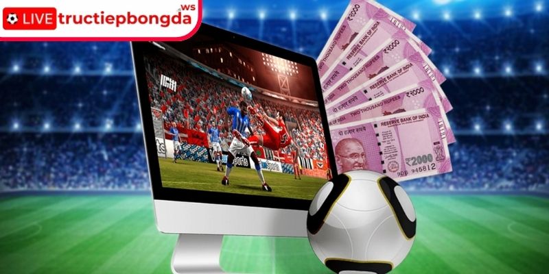 Tham khảo ý kiến chuyên gia